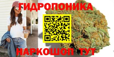 альфа пвп Сланцы