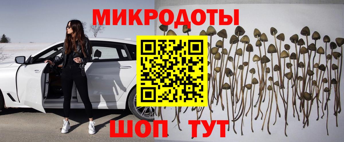 Ржев  Галлюциногенные грибы мухоморы  Вход с VPN 