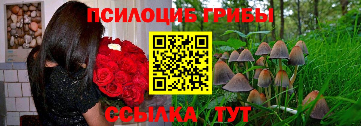 Галлюциногенные грибы мухоморы Ржев
